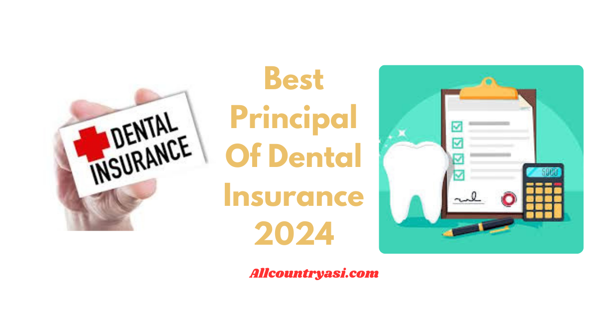 Best Principal Of Dental Insurance 2024